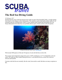 The Red Sea Diving Guide