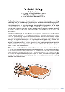 Cuttlefish Biology Geetha Sasikumar Sr