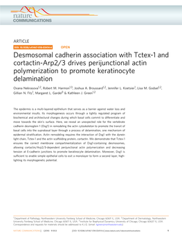 Desmosomal Cadherin Association with Tctex-1 and Cortactin-Arp2/3 Drives Perijunctional Actin Polymerization to Promote Keratinocyte Delamination