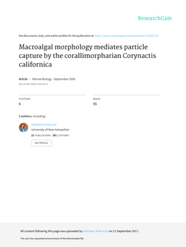 Macroalgal Morphology Mediates Particle Capture by the Corallimorpharian Corynactis Californica