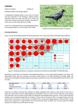 Jackdaw Coloeus Monedula Category a Breeding Resident and Passage Migrant