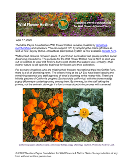 © 2020 Theodore Payne Foundation for Wild Flowers & Native Plants. No