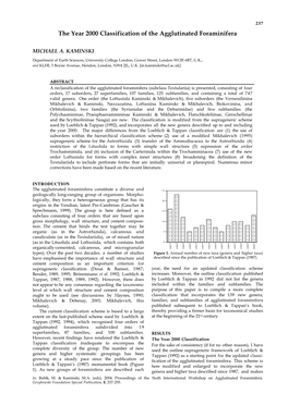 The Year 2000 Classification of the Agglutinated Foraminifera