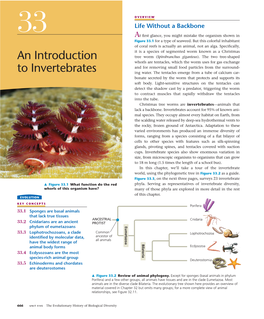 An Introduction to Invertebrates 667 � Figure 33.3 (Continued) Exploring Invertebrate Diversity