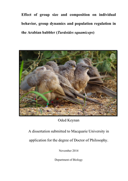 Effect of Group Size and Composition on Individual Behavior, Group Dynamics and Population Regulation in the Arabian Babbler (Turdoides Squamiceps)