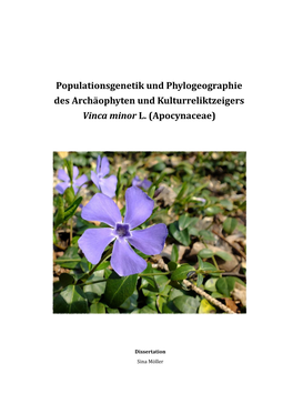 Populationsgenetik Und Phylogeographie Des Archäophyten Und Kulturreliktzeigers Vinca Minor L