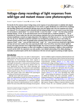 Voltage-Clamp Recordings of Light Responses from Wild-Type and Mutant Mouse Cone Photoreceptors