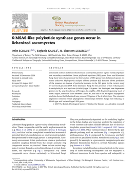 6-MSAS-Like Polyketide Synthase Genes Occur in Lichenized Ascomycetes