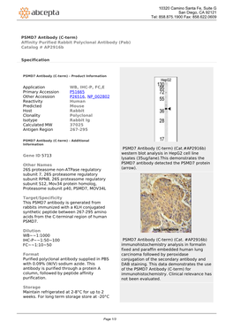 PSMD7 Antibody (C-Term) Affinity Purified Rabbit Polyclonal Antibody (Pab) Catalog # Ap2916b