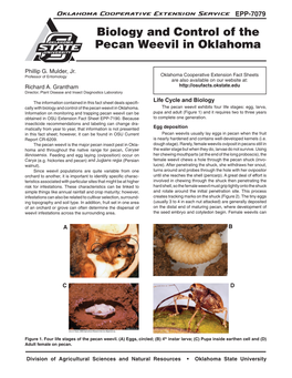 Biology and Control of the Pecan Weevil in Oklahoma