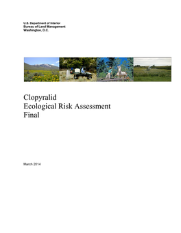 Clopyralid Ecological Risk Assessment Final