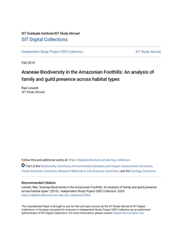 Araneae Biodiversity in the Amazonian Foothills: an Analysis of Family and Guild Presence Across Habitat Types