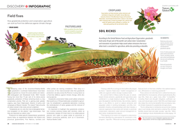 Cangeo-Natural-Climate-Solutions-Infographic-Grasslands-Agriculture.Pdf