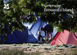 Camping on Brownsea Island