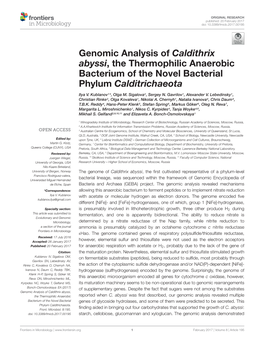 Genomic Analysis of Caldithrix Abyssi, the Thermophilic Anaerobic Bacterium of the Novel Bacterial Phylum Calditrichaeota