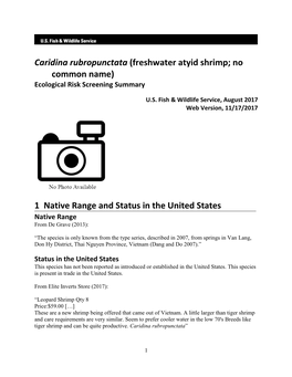 Caridina Rubropunctata (Freshwater Atyid Shrimp; No Common Name) Ecological Risk Screening Summary