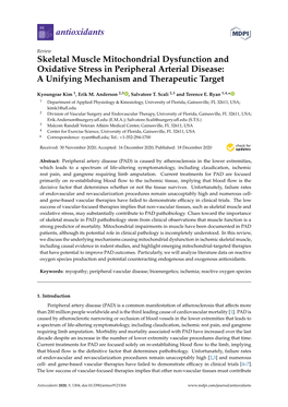 Skeletal Muscle Mitochondrial Dysfunction and Oxidative Stress in Peripheral Arterial Disease: a Unifying Mechanism and Therapeutic Target