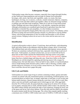 Yellowjacket Wasps Identification Life Cycle and Habits