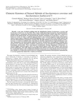 Chimeric Genomes of Natural Hybrids of Saccharomyces Cerevisiae and Saccharomyces Kudriavzeviiᰔ† Carmela Belloch,1 Roberto Pe´Rez-Torrado,1 Sara S