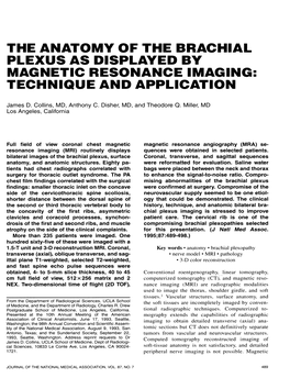 The Anatomy of the Brachial Plexus As Displayed by Magnetic Resonance Imaging: Technique and Application