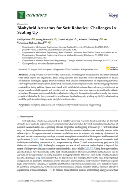 Biohybrid Actuators for Soft Robotics: Challenges in Scaling Up