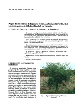 Plagas De Los Cultivos De Tagasaste (Chamaecytisus Proliferus (L. Fil.) Link Ssp