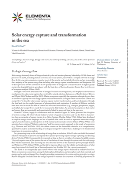 Solar Energy Capture and Transformation in the Sea Complexity, with a Trend for a Decreasing Flow of Energy Per Unit Biomass As Succession Occurs