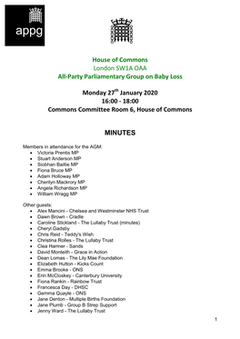 Minutes of the APPG on Baby Loss