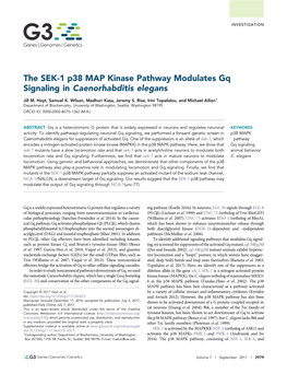 The SEK-1 P38 MAP Kinase Pathway Modulates Gq Signaling in Caenorhabditis Elegans