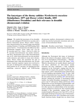 The Karyotypes of the Thorny Catfishes Wertheimeria Maculata Steindachner, 1877 and Hassar Wilderi Kindle, 1895