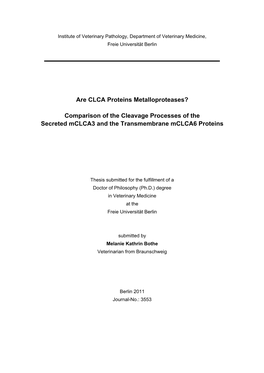 Are CLCA Proteins Metalloproteases? Comparison of the Cleavage Processes of the Secreted Mclca3 and the Transmembrane Mclca6