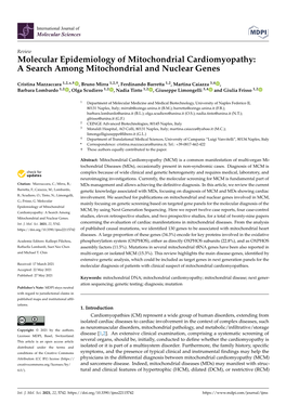 Molecular Epidemiology of Mitochondrial Cardiomyopathy:A Search Among Mitochondrial and Nuclear Genes