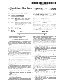 (12) United States Plant Patent (10) Patent No.: US PP17,423 P2 Briggs (45) Date of Patent: Feb