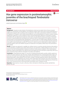 Hox Gene Expression in Postmetamorphic Juveniles of the Brachiopod Terebratalia Transversa Ludwik Gąsiorowski and Andreas Hejnol*