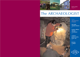 The Archaeologist 75