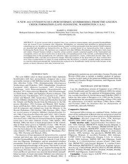 A New Aglyptorhynchus (Perciformes: Scombroidei) from the Lincoln Creek Formation (Late Oligocene, Washington, U.S.A.)