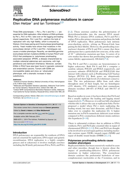 Replicative DNA Polymerase Mutations in Cancer