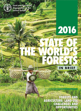 State of the World's Forests