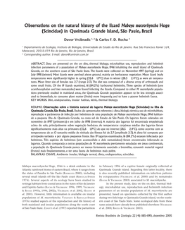 Observations on the Natural History of the Lizard Mabuya Macrorhyncha Hoge (Scincidae) in Queimada Grande Island, São Paulo, Brazil