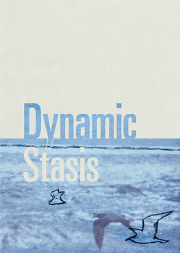 Dynamic Stasis Essay by Richard Grusin