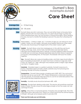 Acrantophis Dumerili Care Sheet