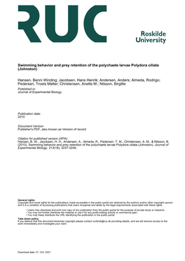 Swimming Behavior and Prey Retention of the Polychaete Larvae Polydora Ciliata (Johnston)