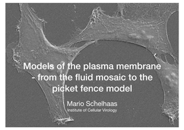 From the Fluid Mosaic to the Picket Fence Model