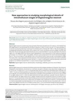 New Approaches to Studying Morphological Details of Intramolluscan Stages of Angiostrongylus Vasorum