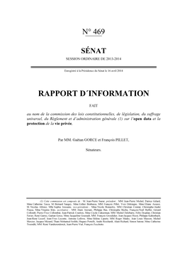 Rapport D´Information