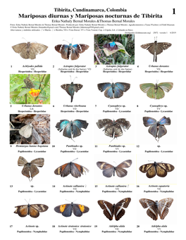 Mariposas De Colombia 1.Doc