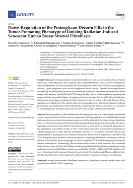 Down-Regulation of the Proteoglycan Decorin Fills in the Tumor-Promoting Phenotype of Ionizing Radiation-Induced Senescent Human Breast Stromal Fibroblasts