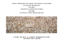 2010 Town Report