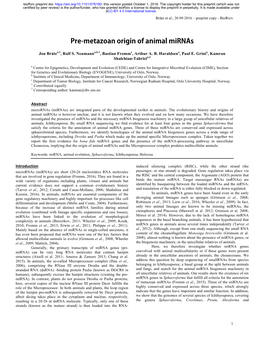 Pre-Metazoan Origin of Animal Mirnas