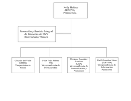 Nelly Molina (IENOVA) Presidencia Promoción Y Servicio Integral De